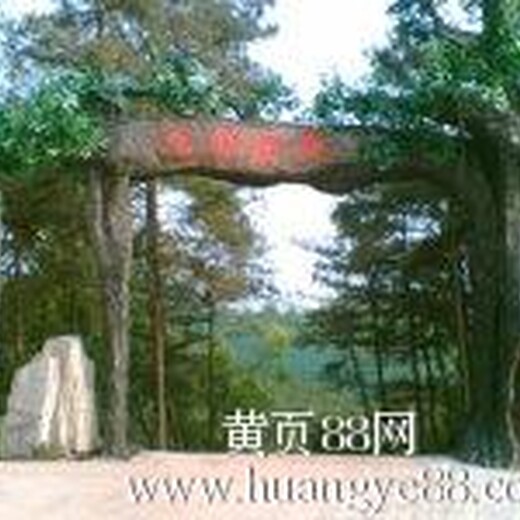 永州哪里有做假山喷泉，永州东安县假山喷泉价格优惠！