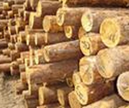 【木材家具进出口的税率主要有哪些可以抵税吗