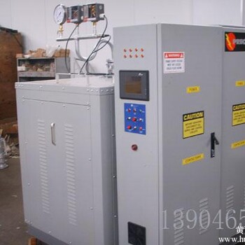 美国精工采暖电锅炉CWDR0.45-85/60厂家价格