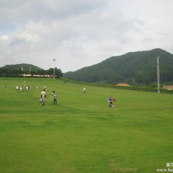 2019年春节深圳出发云南6天自驾游招募中