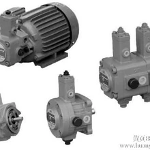 VPVC-F12-A1-02A臺灣HP油泵