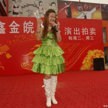 北京朝阳区晚会小提琴演出提供小提琴晚宴伴奏