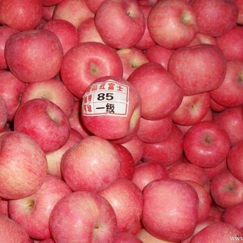 红富士苹果价格