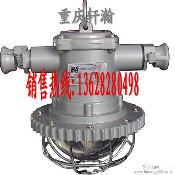 供应DGS-18W矿用防爆巷道灯