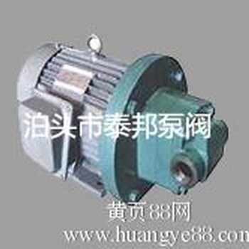 RYB100-0.6压缩机轴头泵粘度及温度慎重/北京燃烧器油泵