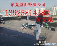 东莞市东城防水公司防水堵漏_屋面防水工程图片1