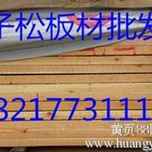 俄羅斯樟子松板材