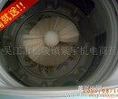 江苏海尔全自动洗鞋机5公斤热卖图片