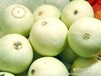 陜西千畝大棚西瓜出地價格供應價格小白香瓜最新價格