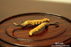 西安收购东阿阿胶淡干海参冬虫夏草燕窝鹿茸海马图片2