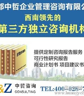 可研报告【中哲成功案例:成都银湖公馆项目贷