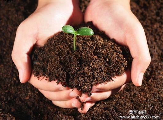 草炭土多少钱一斤，草炭土制作，什么是草炭土