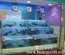 廣州金沙洲專業訂做海水魚缸，廣州海鮮魚缸生產廠家