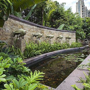 广州海鲜池设计，广州假山鱼池造景，广州阳台花园观赏鱼池制作