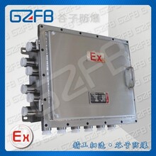 BXM（D）-K63A不锈钢防爆配电箱（带触摸屏）防爆PLC模块