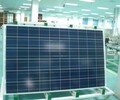 太阳能电站专用270W多晶太阳能电池板组件哪家好
