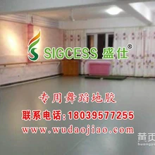 舞蹈地板墊舞蹈地板兒童舞蹈地板