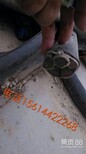 邵阳二手电缆回收市场价格图片1