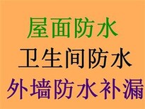 鼎湖屋面防水外墙窗台防水卫生间防水楼面防水图片3