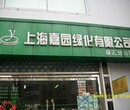 上海市西藏北路鲜花店开业花篮开张花篮