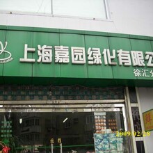 上海市新村路鲜花店