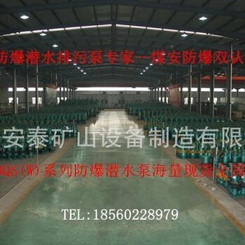 宜春安泰BQS20-40-5.5/N防爆潜水排污泵厂家直供