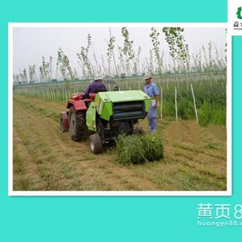 新型 豆秸打捆机型号 小麦秸秆捆扎机 益农批发价