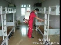 图片0
